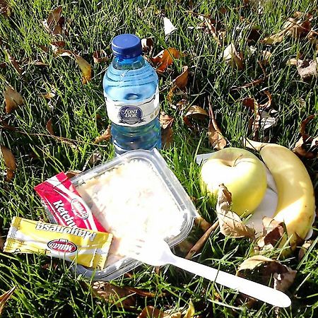 Alberg Roques Blanques Ribes De Freser Εξωτερικό φωτογραφία