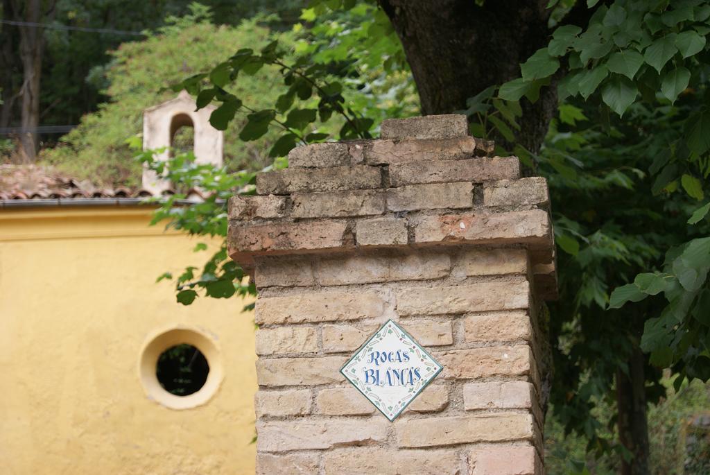 Alberg Roques Blanques Ribes De Freser Εξωτερικό φωτογραφία